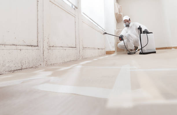Black mold remediation team in Mifflinburg